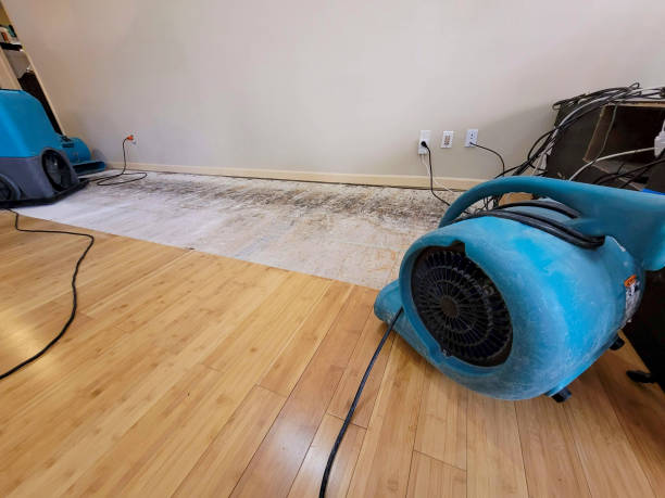 Professional Water Removal technician working in Magee, MS